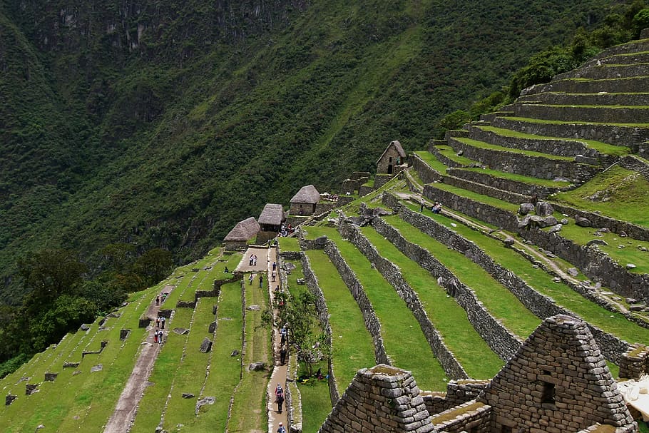 terrace, relic, stairs, hillside, mountain, machu Picchu, inca, cusco City, peru, terraced Field
