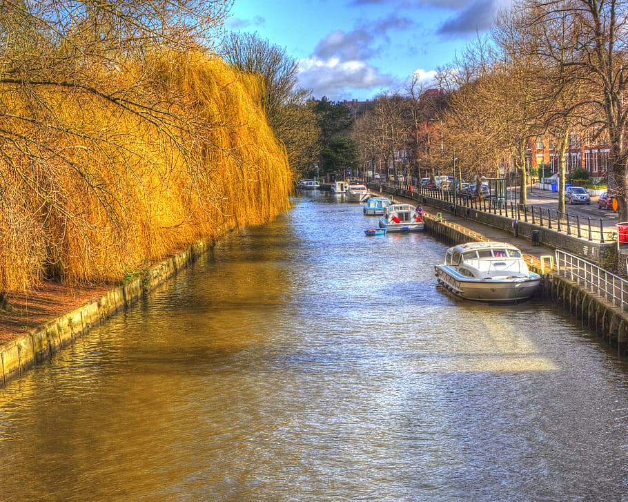norwich, canal, england, uk, trees, exterior, norfolk, water, boat, britain