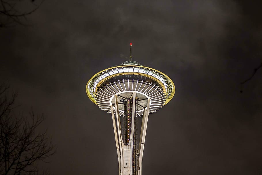 space needle, tower, city, urban, lights, branches, dark, night, architecture, trees