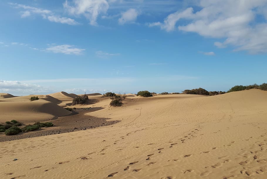 gran canaria, maspalomas, sand dunes, canary islands, beach, spain, nature, landscape, desert, sky
