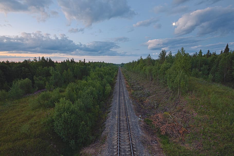 trees, railway, grass, sky, track, nature, outdoor, clouds, landscape, forest
