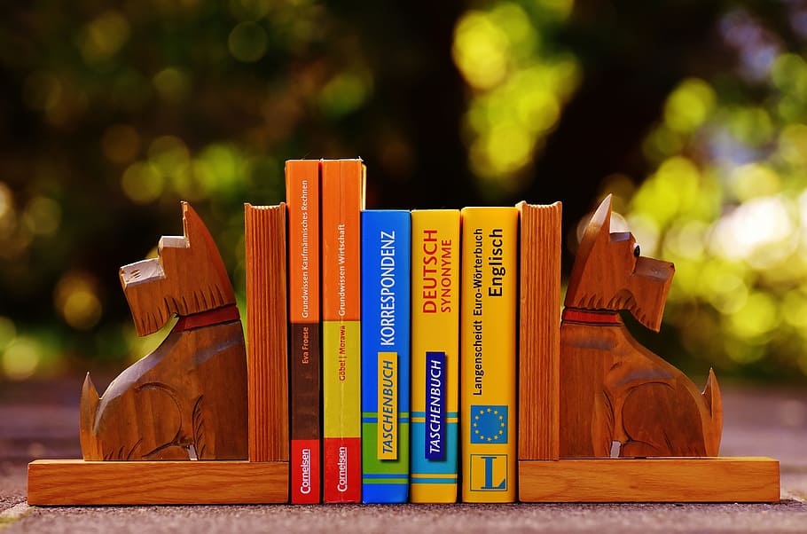 selective, focus photo, books, bookends, dog, read, library, information, pressure, education