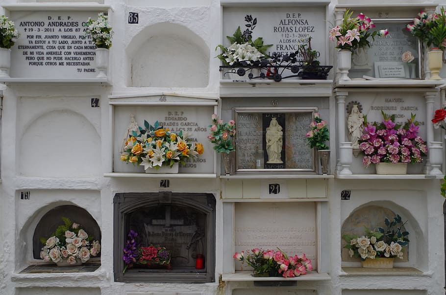 Cemetery, Spain, Sepulchre, flower, potted plant, variation, shelf, day, flowering plant, plant