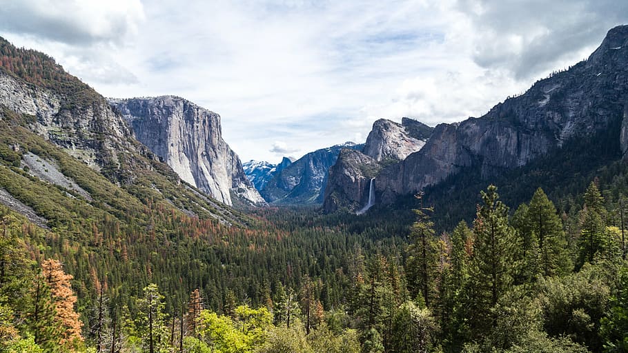 El Capitan Summit, Yosemite, nacional, parque, California, árboles, montañas, cordilleras, nublado, cielo