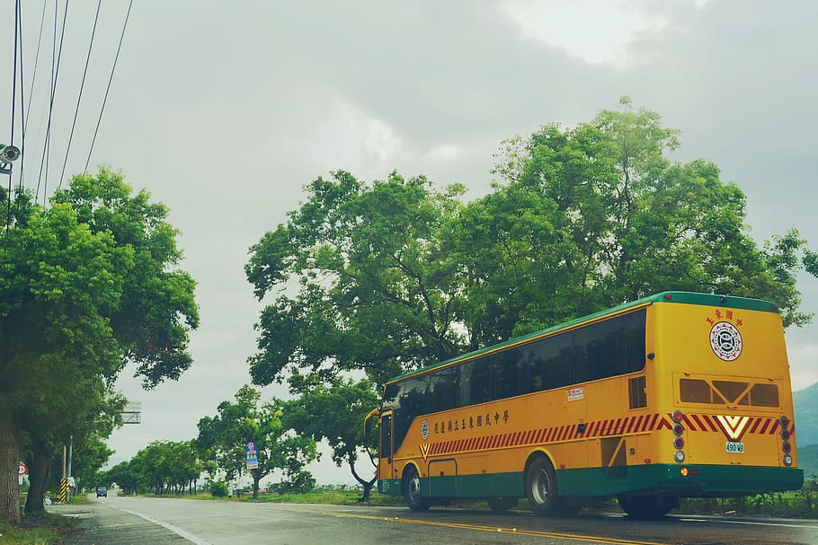 school bus, highway, cloudy day, transportation, mode of transportation, tree, sky, plant, nature, land vehicle