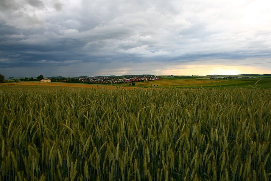 Thunderstorm, View, Clouds, Broken, sky, flash, storm, atmosphere, horizon, run down