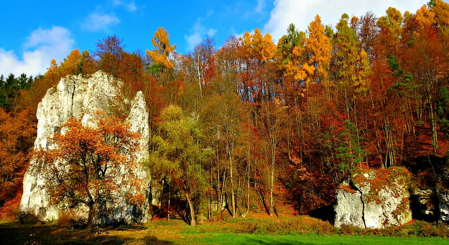 nacional, parque, Paternidade, Parque Nacional, Polônia, parque nacional de paternidade, paisagem, natureza, outono, rochas