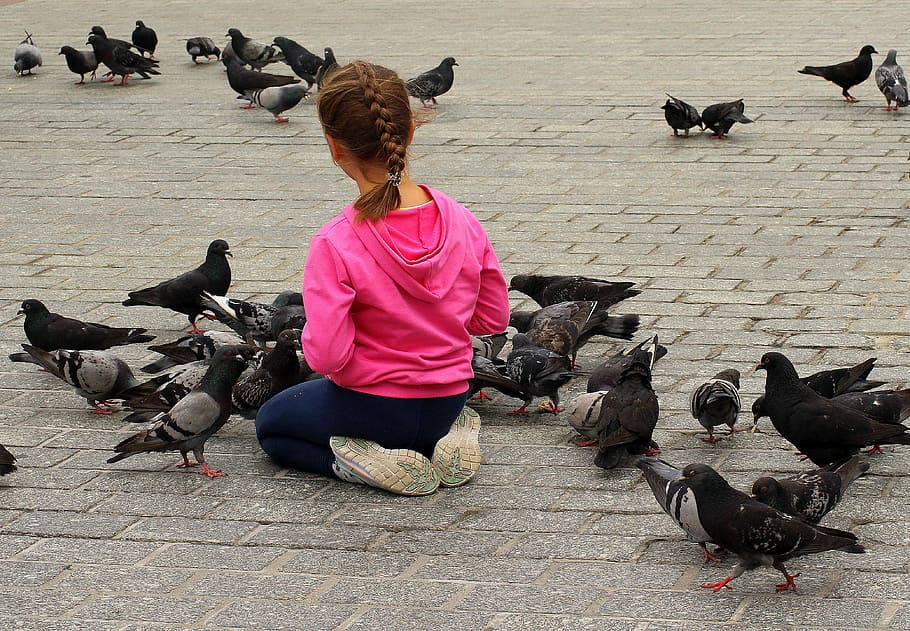 niña, chaqueta con capucha, rodeado, palomas, la niña, niño, personas, pájaros, alimentar a las palomas, infancia