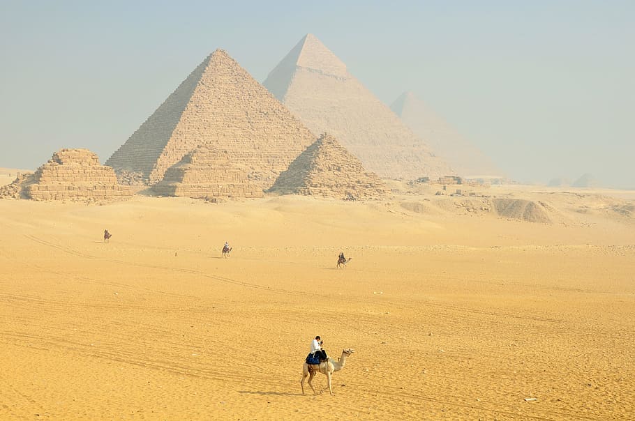 homem, montando, camelo, deserto, dia, Esfinge, Egito, hieróglifos, templo, Pierre