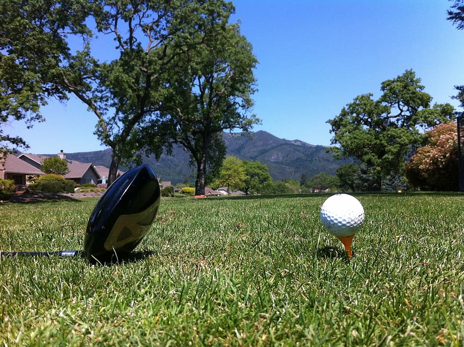 golf, bola golf, olahraga, bola, tee, tanaman, rumput, warna hijau, pohon, alam