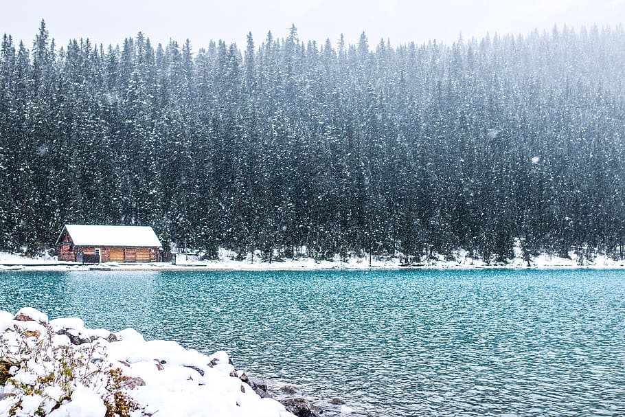 bodies, water, house, filled, snow photograph, lake, louise, canada, banff, landscape