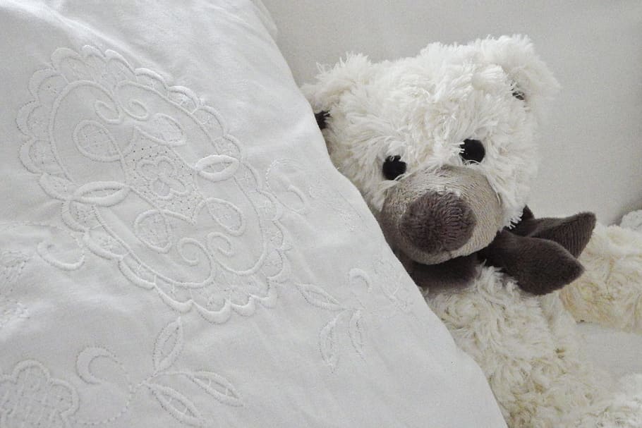 bear, plush, toy, cushion, Toys, Teddy Bear, White, Vintage, teddy, stuffed animal