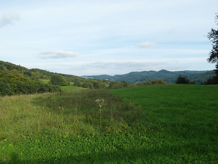 Odenwald, Landscape, Sunny, Hill, Sky, sunny, hill, gentle, green, september, hiking