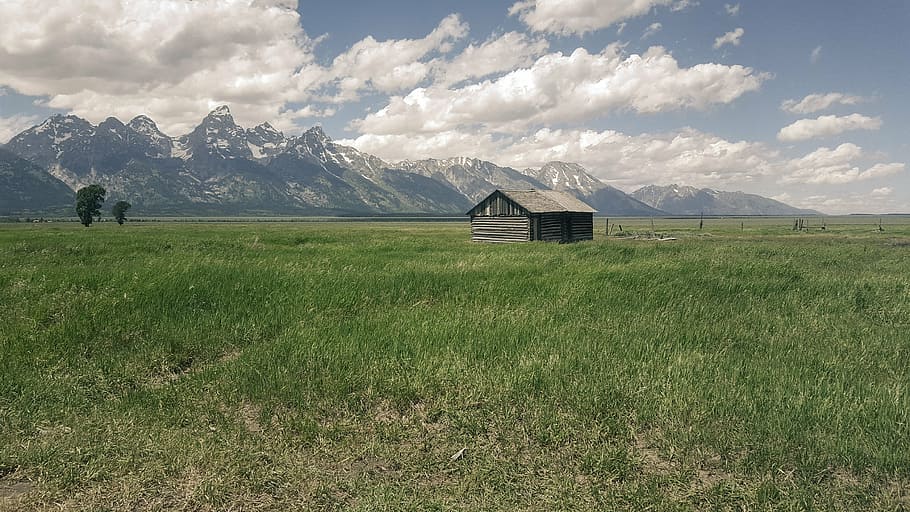 brown, wooden, shed, middle, grass field, front, mountain, cabin, clouds, field