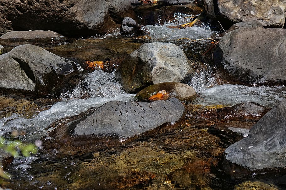 el salvador, the impossible, water, freshness, river, stones, rocks, leaves, nature, purity