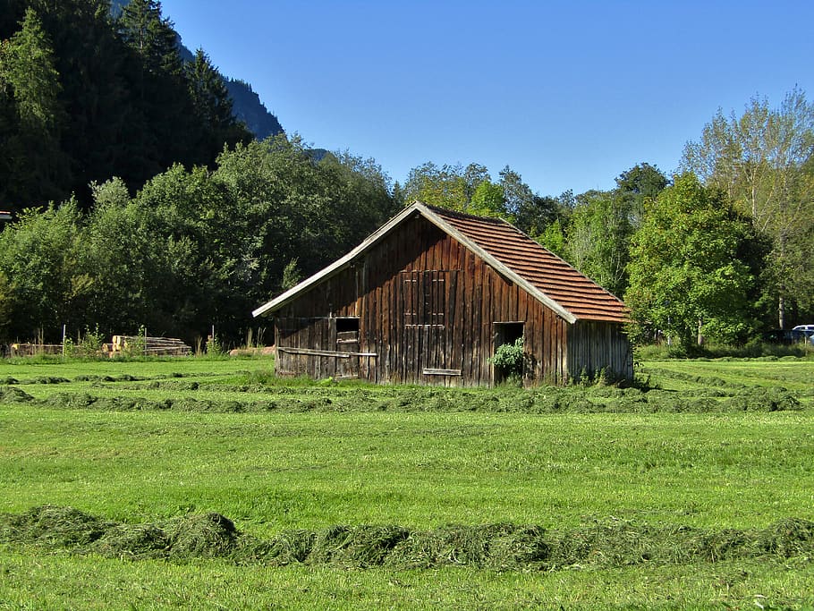 hut, hay, trees, meadow, grass, green, hay barn, nature, landscape, idyllic