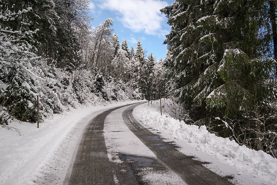 road, covered, snow, corner, way, asphalt, street, path, trees, winter