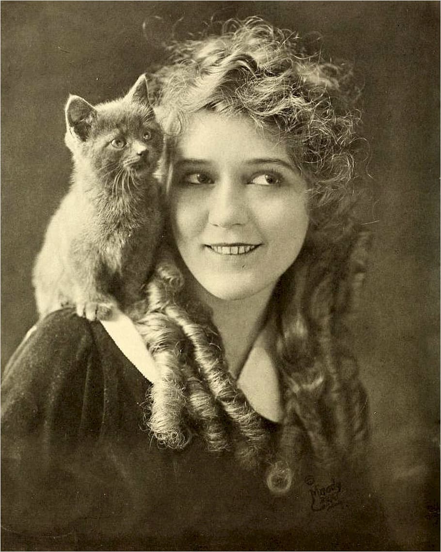grayscale photography, cat, woman shoulder illustration, mary pickford, actress, motion pictures, films, 24th greatest, female stars of all time, little mary
