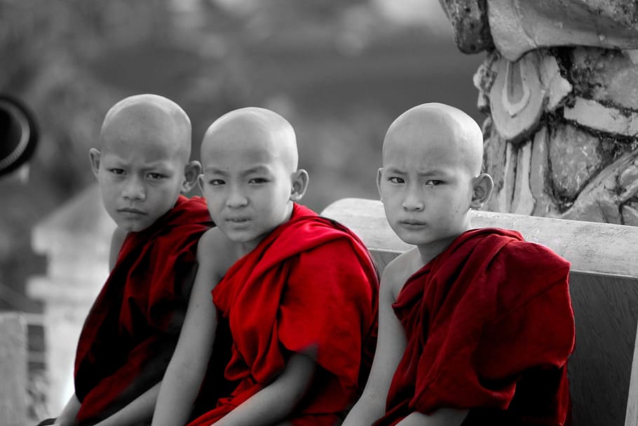 ミャンマー, 僧侶, 子供, ビルマ, 仏教, 霊性, 赤, カメラ目線, チームワーク, スポーツユニフォーム