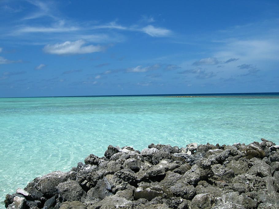 sea, maldives, summer, hot, holiday, holidays, transparency, rocks, north male atoll, immersion