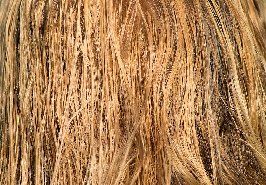 hair, blond, wet, combed, long hair, water, wind, close up, zerzauselt, color
