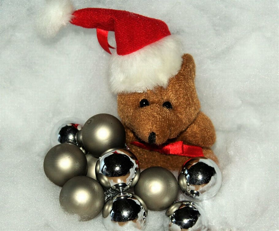 navidad, oso de navidad, nieve, nochebuena, tiempo de navidad, embajada, tarjeta de navidad, saludo de navidad, decoración, adviento