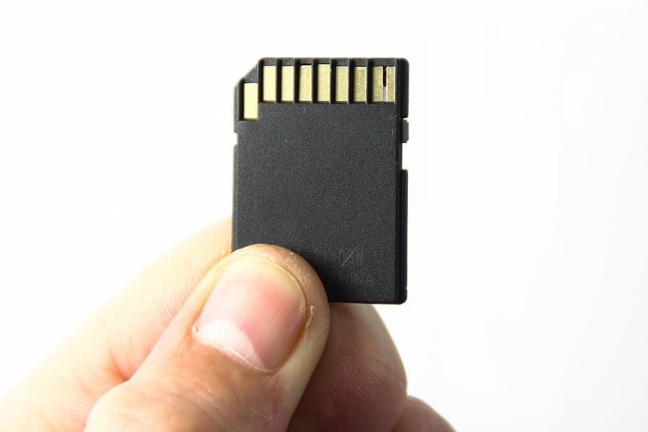 person, holding, sd card, map, memory card, technology, computer, equipment technology, white, white background