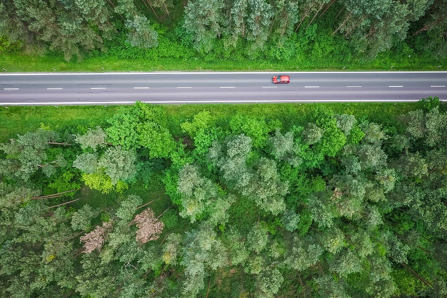 Woods, aérea, simétrica, vista, carretera, en el bosque, coches, limpio, fotografía con drones, drones