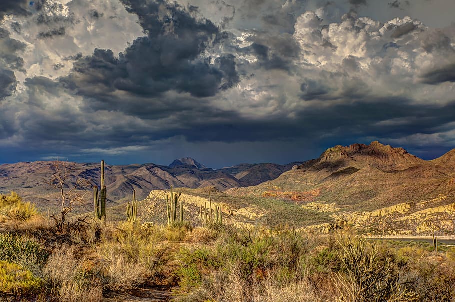 cactus plant, mountain screenshot, arid, cactus, cloud formation, dark clouds, daylight, desert, hills, landscape