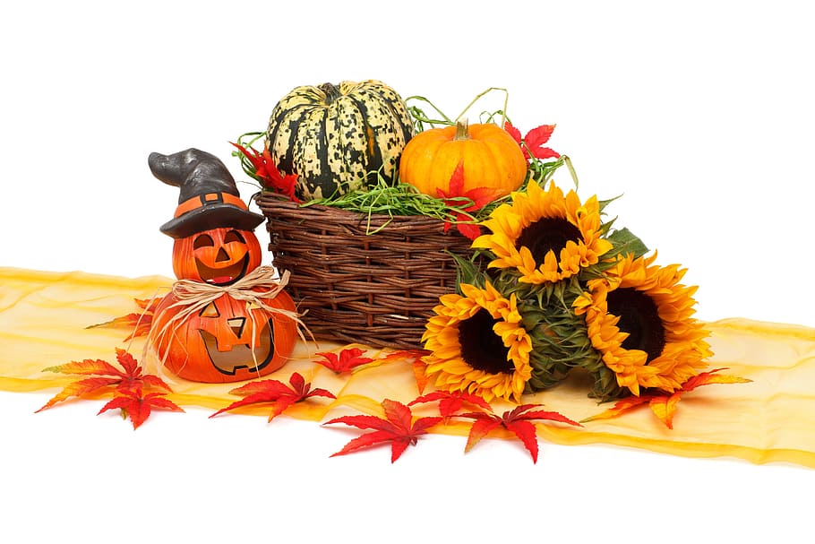 Tres, girasoles, al lado, cesta, calabaza, otoño, blanco, luz, decoración, halloween