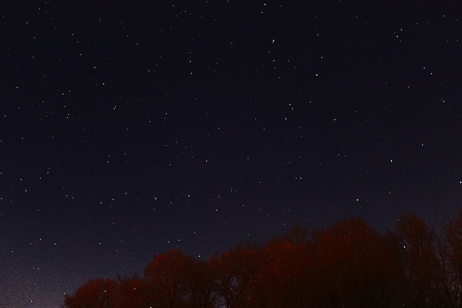 estrelas, verme, vista de olho, natureza, árvores, noite, céu, astronomia, estrela - Espaço, constelação