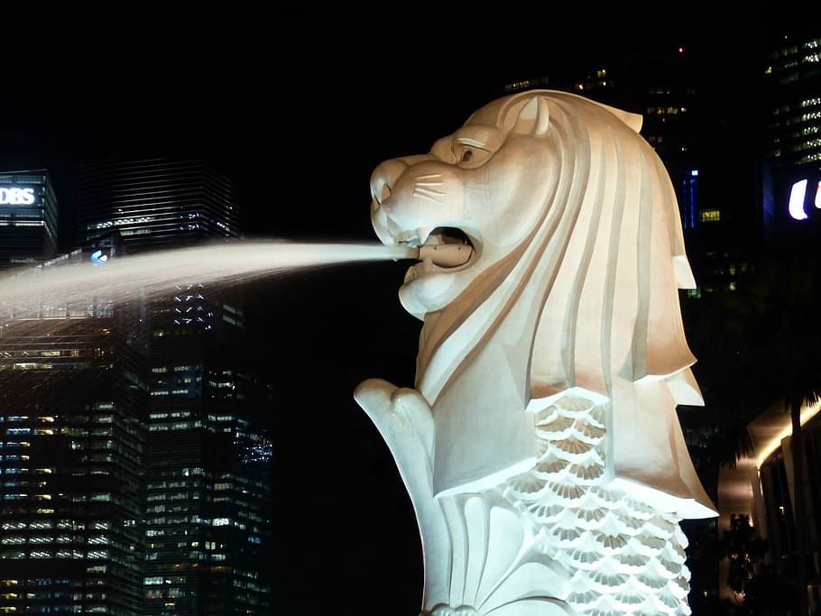 Merlion Singapur, Merlion, Singapur, noche, estatua, lugar famoso, escena urbana, arquitectura, ciudad, personas