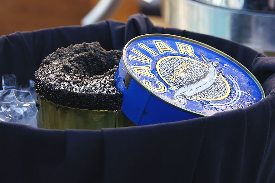 caviar, eat, festival, blue, close-up, indoors, focus on foreground, day, metal, glove