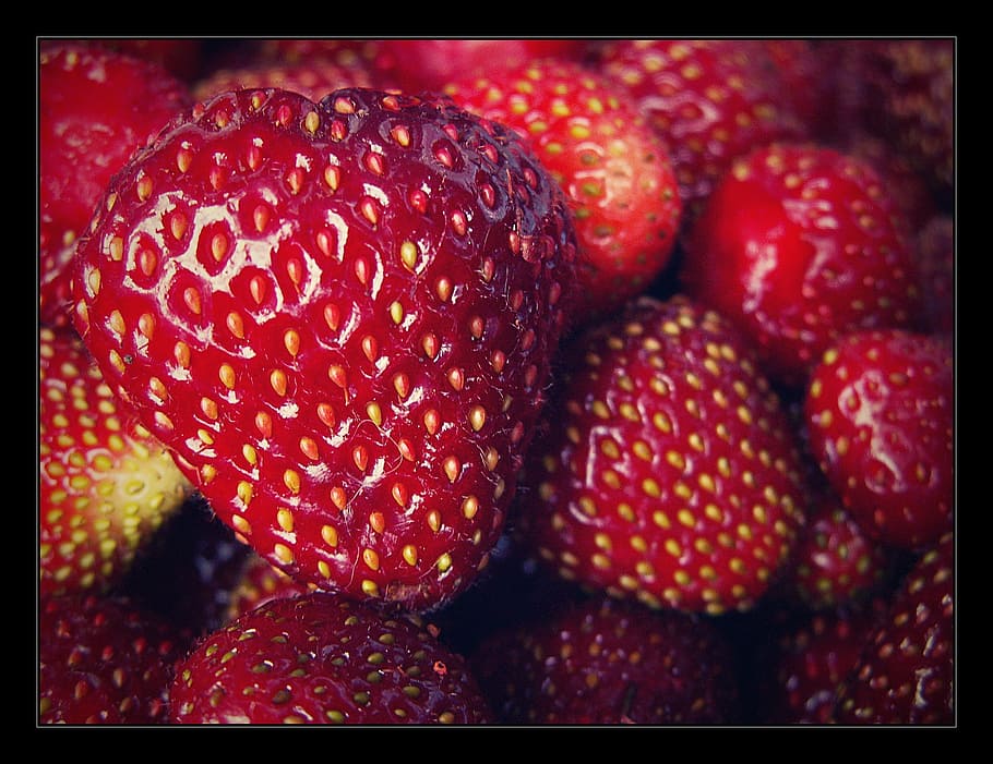 strawberry, garden, red, fetus, macro, strawberries, fruit, food, freshness, ripe