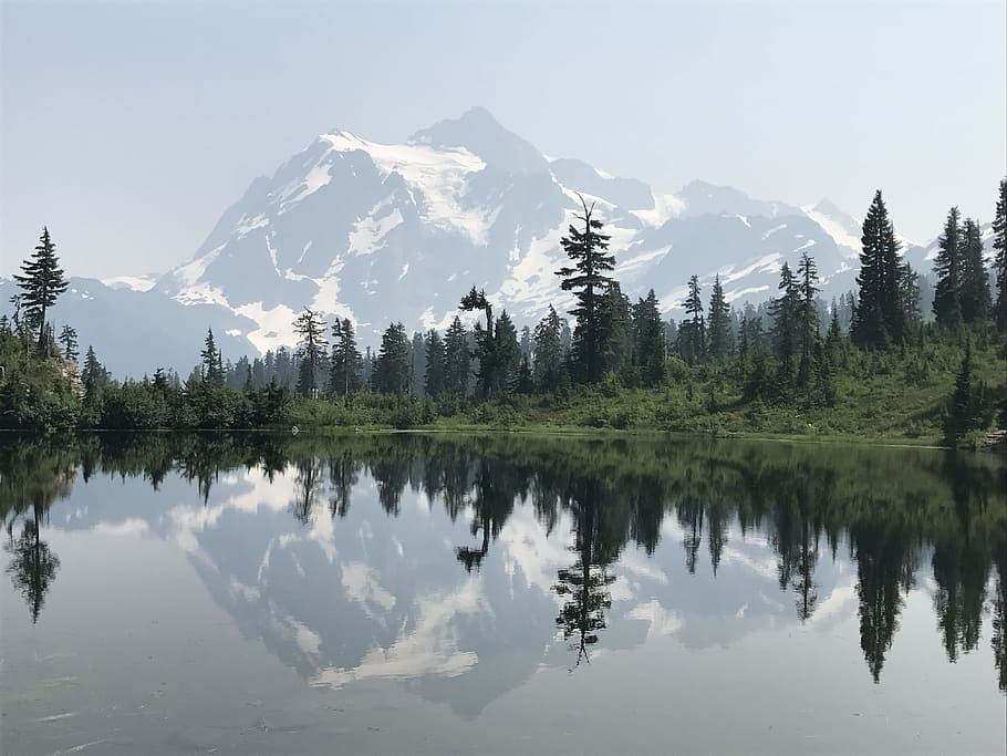 picture lake, mountain, mirror, reflection, tree, scenics - nature, beauty in nature, tranquil scene, tranquility, lake