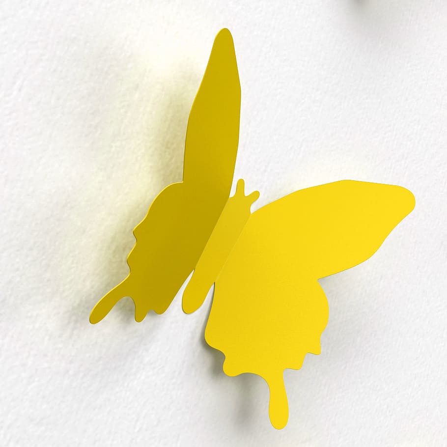 butterfly, wall, decoration, color, paper decoration, colorful, pleasure, sticker, yellow, studio shot