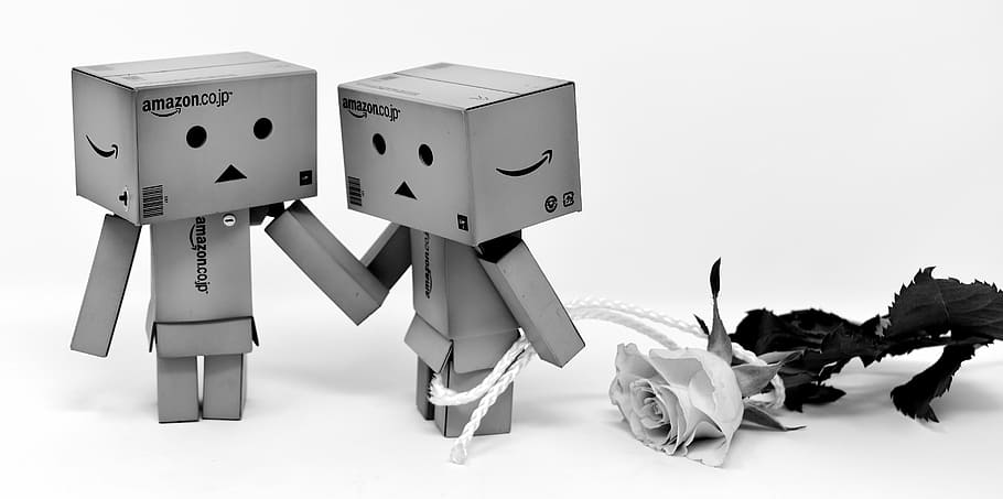 grayscale photo, toys, flower, i beg your pardon, love, excuse me, roses, black and white, flowers, valentine's day