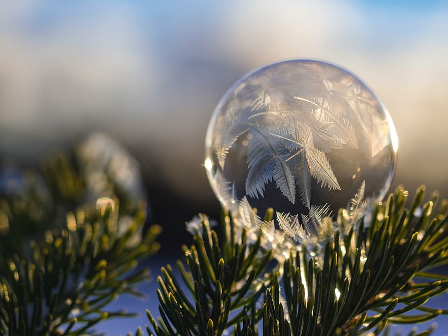 bauble, hanged, pine tree, feather, dream, catcher, nature, leaves, dream catcher, bokeh