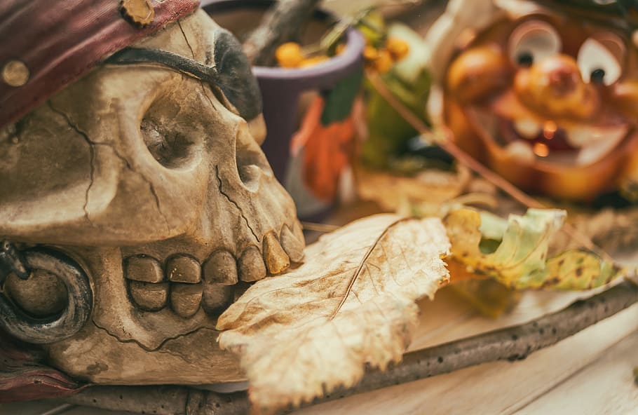 halloween, leaf, skeleton, schreck, close-up, food and drink, human body part, food, art and craft, focus on foreground