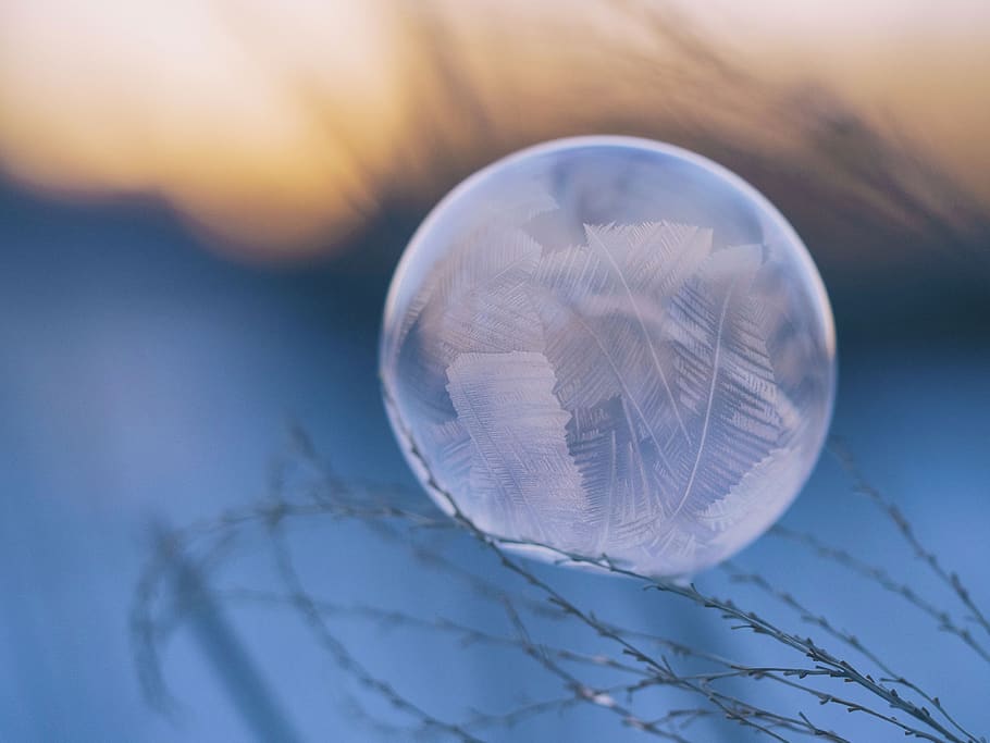 feather, dream catcher, nature, leaf, round, circle, close-up, winter, plant, outdoors
