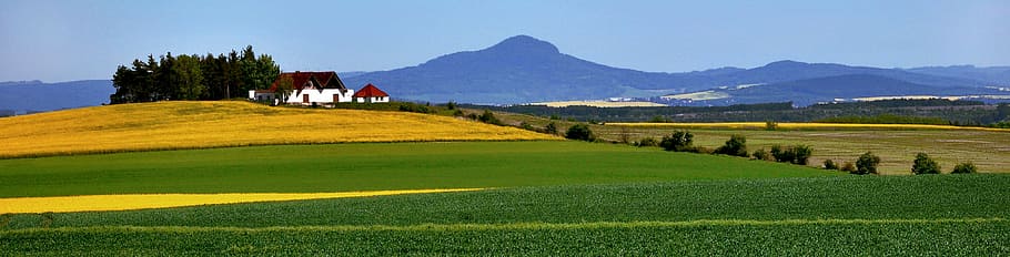 green grass field, landscape, rapeseed, czech republic, mountains, house, spring, fields, agriculture, the cultivation of