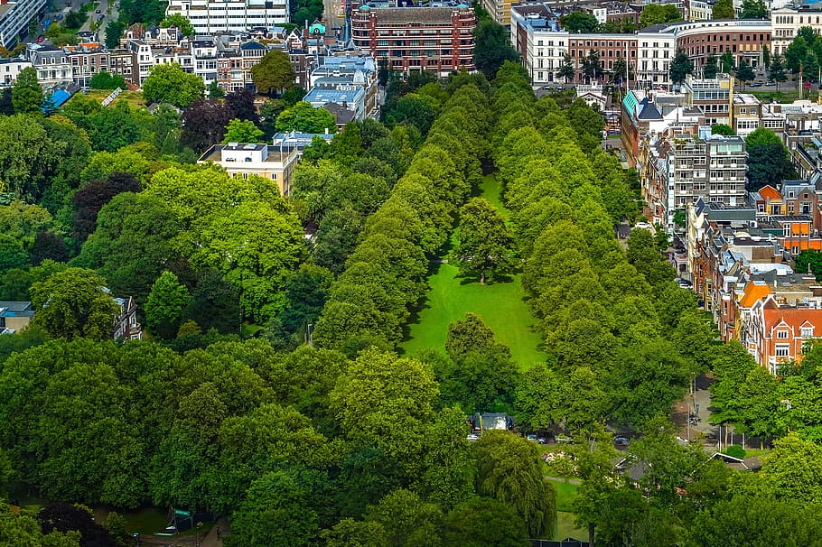 park, garden, city, tree, grass, cityscape, aerial view, rotterdam, netherlands, holland