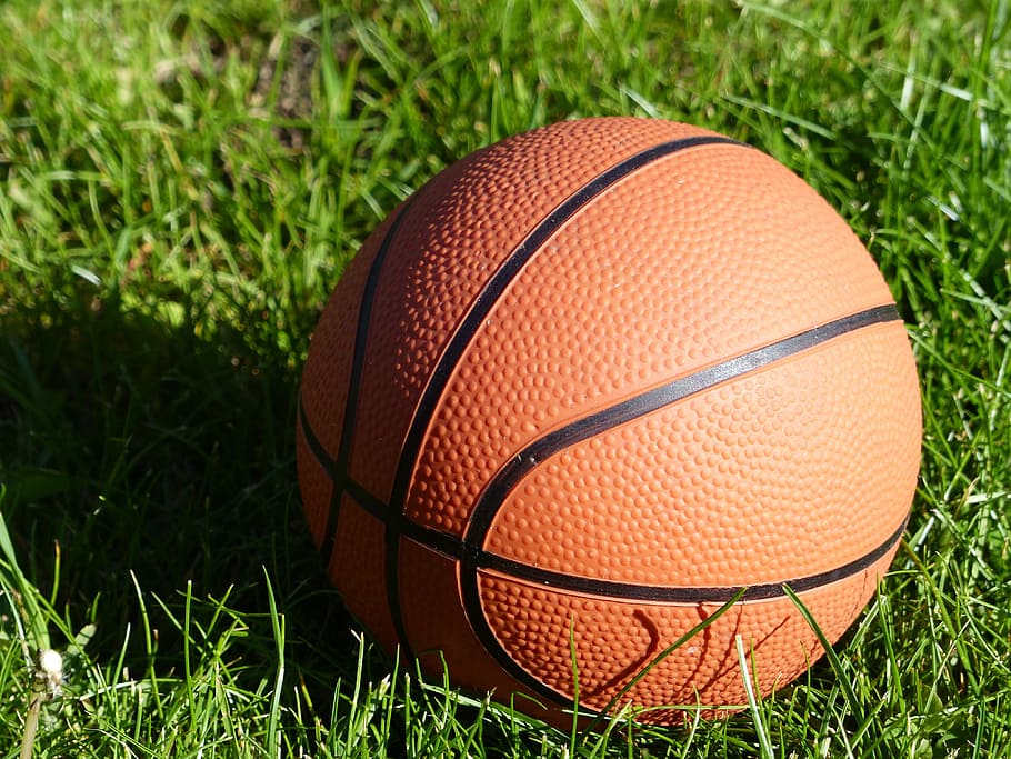 green, grass, Basketball, Ball, Orange, Grass, Lawn, lawn, sport, outdoor, activity