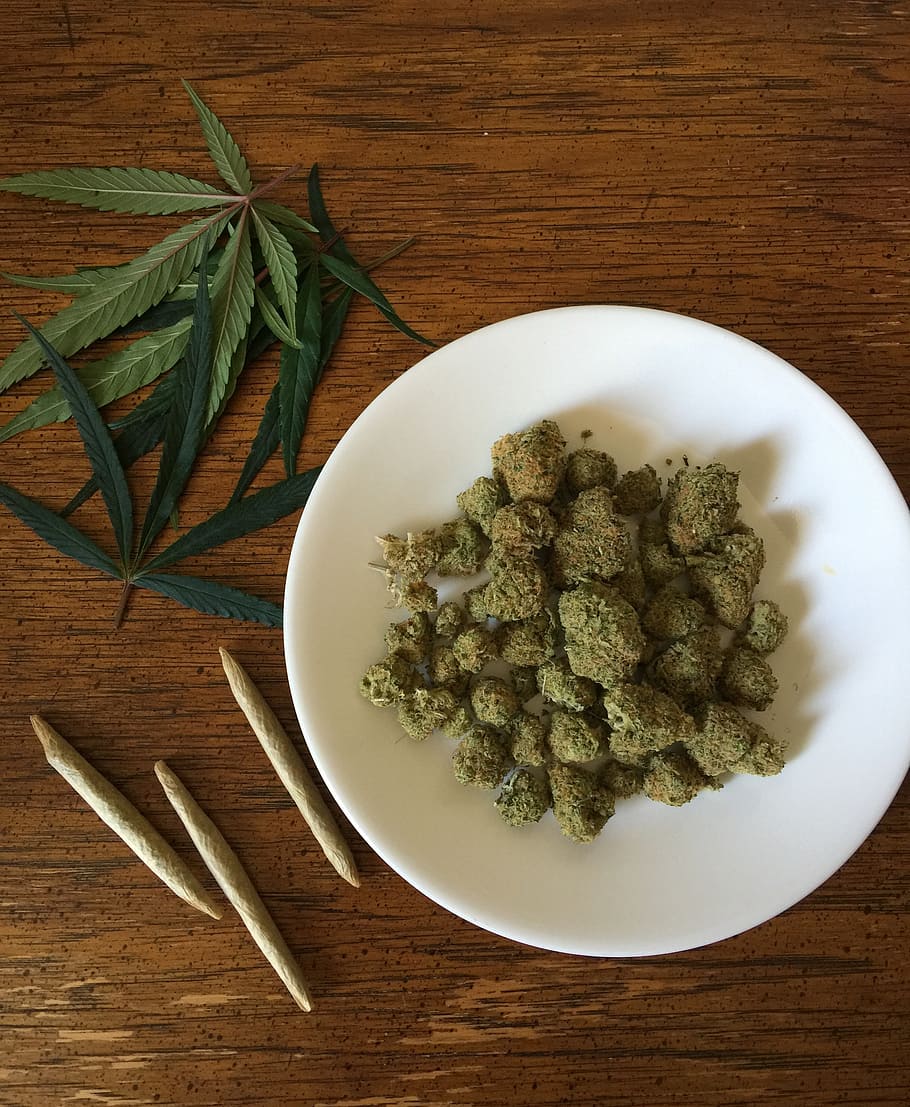 plato, verde, kush, cannabis, marihuana, hierba, droga, cáñamo, medicina, planta