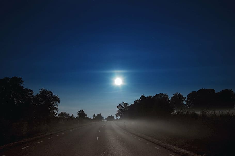 full moon, cloud, himmel, night, road, forest, tree, mist, nature, landscapes