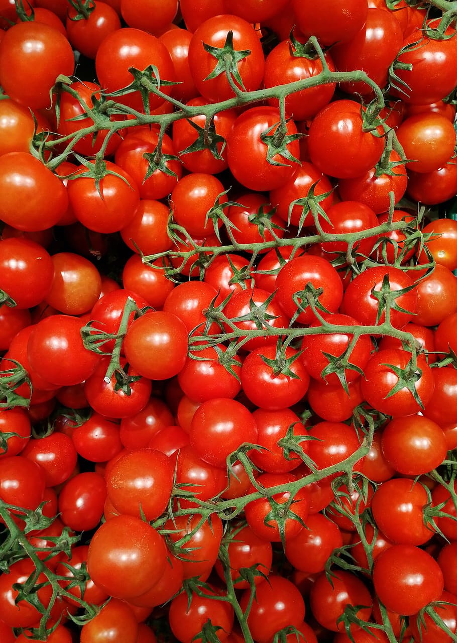 tomatoes, vegetables, healthy, vitamins, red, food, fresh, vegan, nutrition, delicious