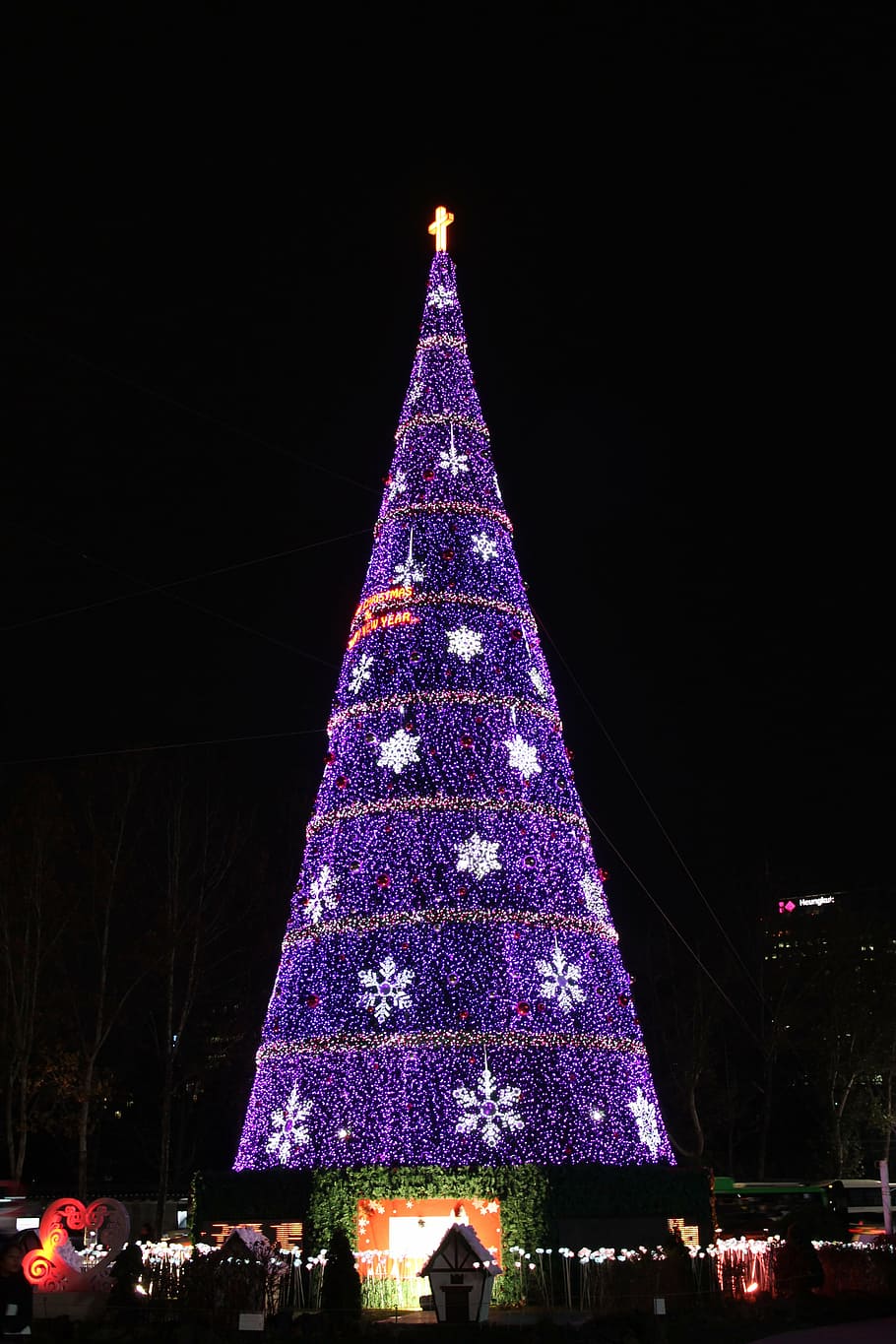 christmas, night view, tree, purple, night, illuminated, christmas decoration, christmas tree, celebration, decoration