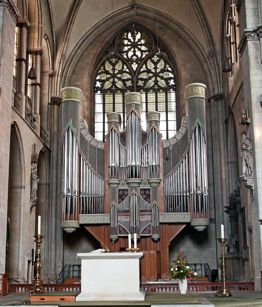 münster, dom, órgano principal, pasillo, relleno de espacio, altar, obispo, diócesis, westfalen, edificio