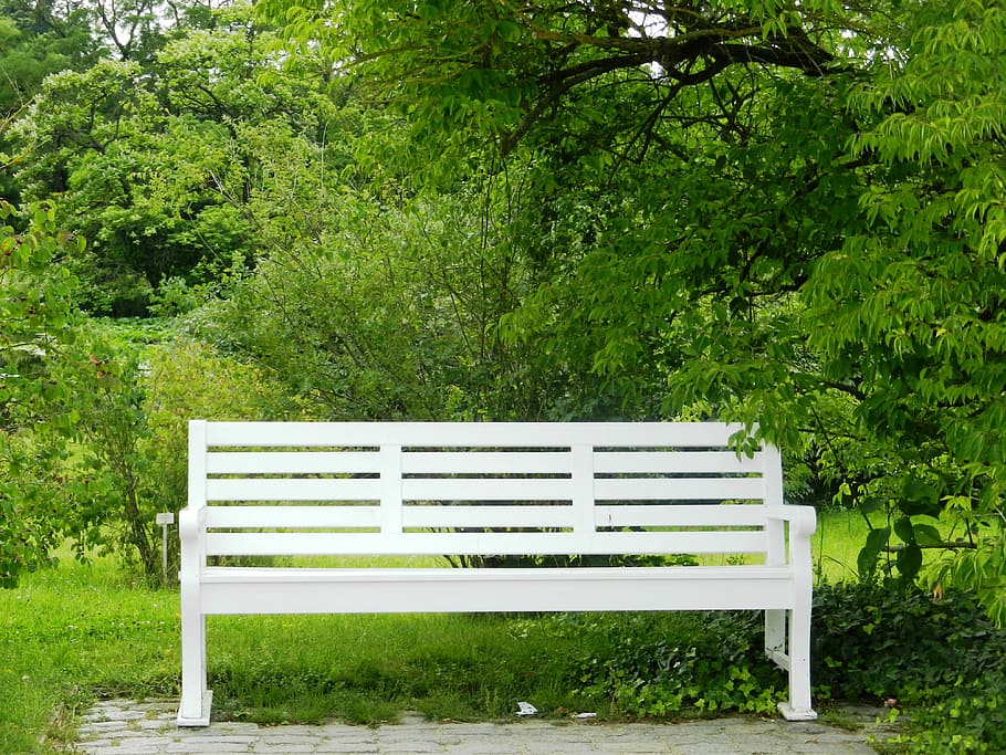 white, wooden, bench, green, leafy, trees, daytime, wooden bench, peace of mind, park