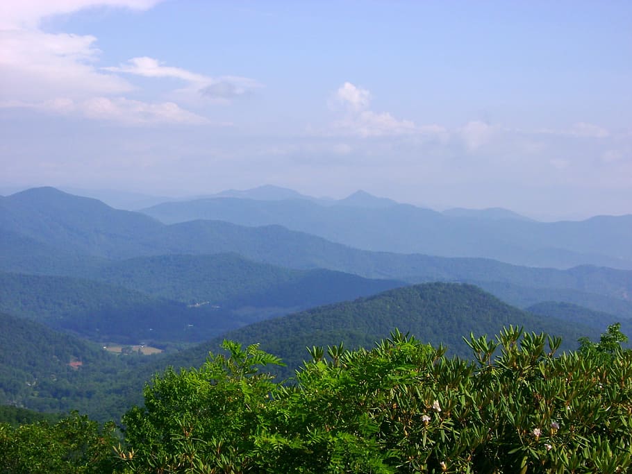 Blue Ridge, montañas, paisaje, naturaleza, pintorescos, árboles, belleza en la naturaleza, tranquilidad, escena tranquila, montaña